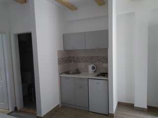 Гостевой дом Guest House Dzakovic Stana Жабляк Апартаменты с 1 спальней-9