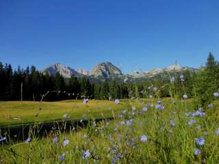 Гостевой дом Guest House Dzakovic Stana Жабляк Номер с кроватью размера «queen-size» и общей ванной комнатой-10